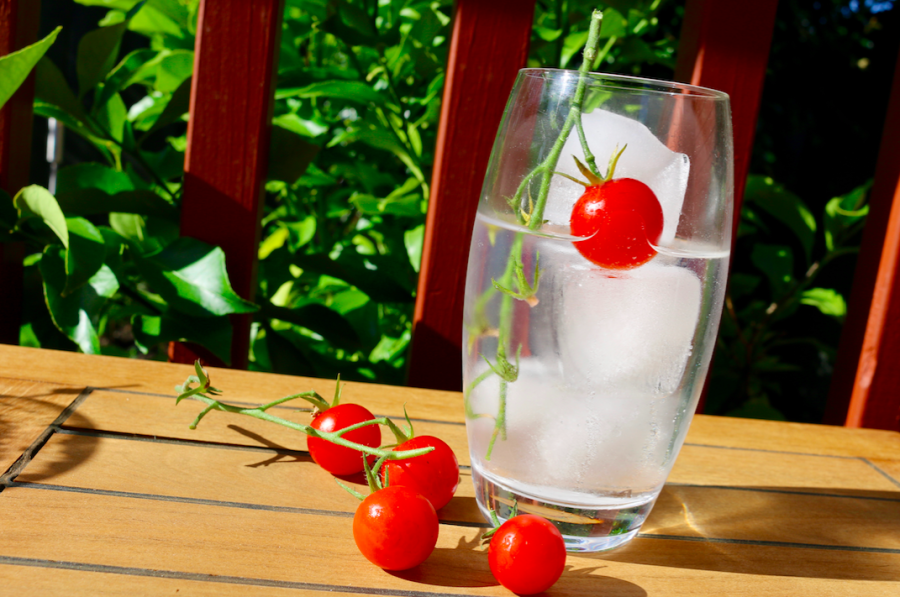 Abundance of tomatoes?…. add them to your gin!